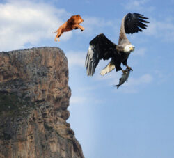 Photoshop Project