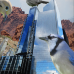 Photoshop Project