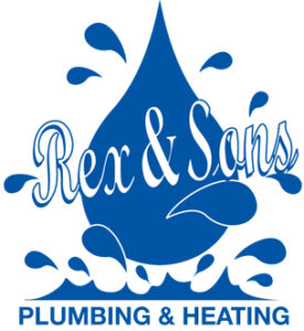 Rex & Sons logo concepts